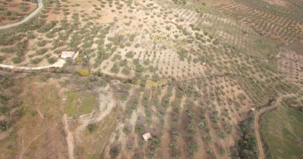 4K Aerial, Voo sobre os campos de Colmenar, Andaluzia, Espanha — Vídeo de Stock
