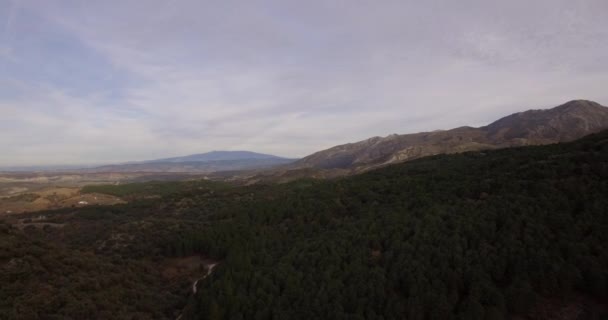 4k επιτόπιων δειγματοληπτικών, πτήση πάνω από το δάσος στην Ανδαλουσία, Ισπανία — Αρχείο Βίντεο