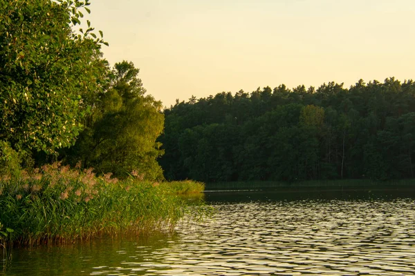 Klobichsee Atardecer Verde Lago Paisaje Camping Brandeburgo — Foto de Stock