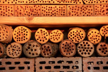 Schoneberg Berlin 'deki küçük bahçede arılar için bir otel.