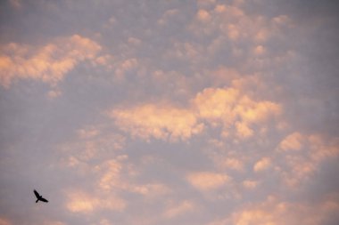 Schoneberg Berlin 'de Altokümülüs gökyüzü bulutları