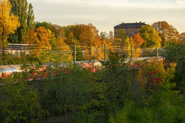 Jesienny Krajobraz Liści Schoneberg Berlin — Zdjęcie stockowe