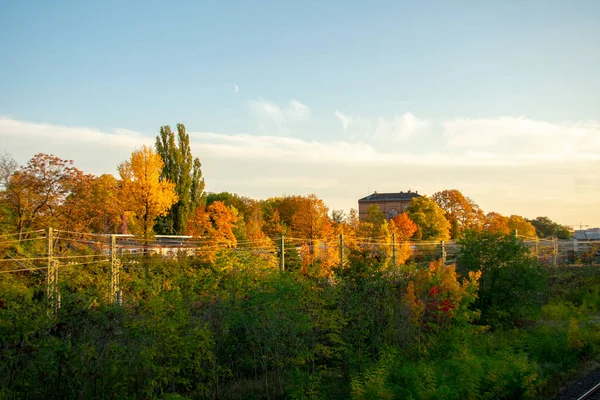 Otoño Hoja Árbol Paisaje Schoneberg Berlín —  Fotos de Stock