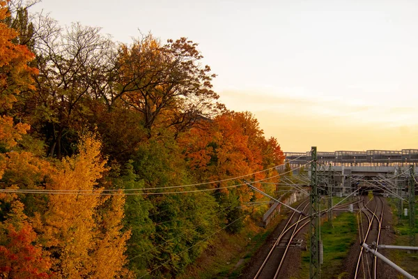 Train Track Fall Leaf Bahn Station Landscape Schoneberg Berlin — Stock Photo, Image