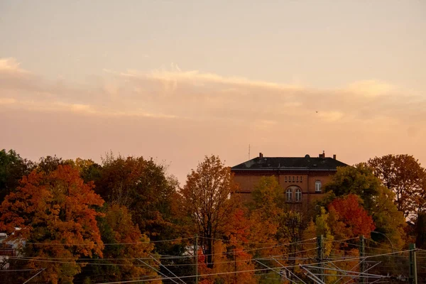 Jesienny Krajobraz Liści Drzewa Schoneberg Berlin — Zdjęcie stockowe
