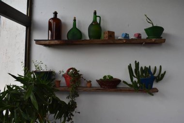 Havana 'daki bir evde saksı bitkileri ve kavanozlar süslenmiş.