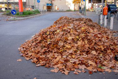 Schoneberg Berlin 'deki U bahn istasyonunun dışında yaprak yığını