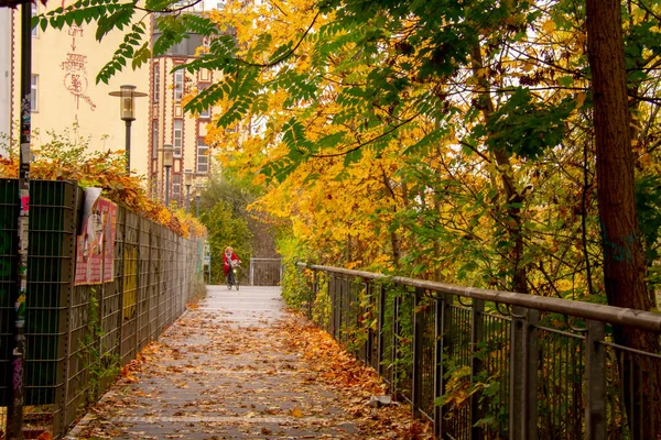 Landschaft Eines Leeren Radwegs Winter Schoneberg Berlin — Stockfoto