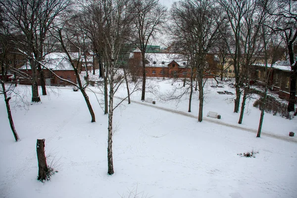 Snowy landscape on Humboldt University campus in Berlin