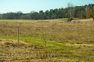 Doeberitzer Heide Brandenburg 'da güneşli bir günde çayır manzarası