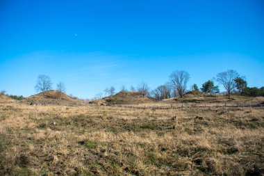 Doeberitzer Heide Brandenburg 'da güneşli bir günde çayır manzarası