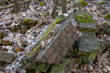 Schoneberg Berlin 'deki Doğa Parkı Schoneberger Sudgelande' de terk edilmiş inşaat malzemeleri
