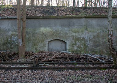 Schoneberg Berlin 'deki Doğa Parkı Schoneberger Sudgelande' de manzara