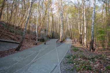 Schoneberg Berlin 'deki Doğa Parkı Schoneberger Sudgelande' de manzara