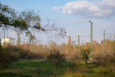 Schoneberg Berlin 'deki Doğa Parkı Schoneberger Sudgelande' de manzara