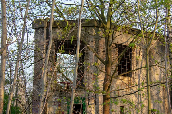 Edificio Abandonado Parque Natural Schoneberger Sudgelande Schoneberg Berlín —  Fotos de Stock