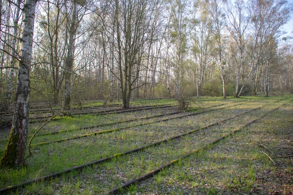 Krajina Přírodním Parku Schoneberger Sudgelande Schonebergu Berlíně — Stock fotografie