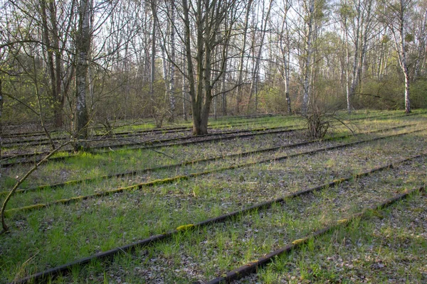 Krajobraz Parku Przyrody Schoneberger Sudgelande Schoneberg Berlin — Zdjęcie stockowe