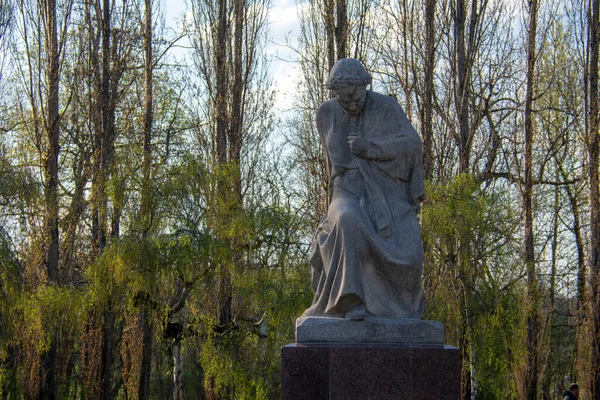 柏林Friedrichschain Treptower公园的苏联战争纪念馆 — 图库照片