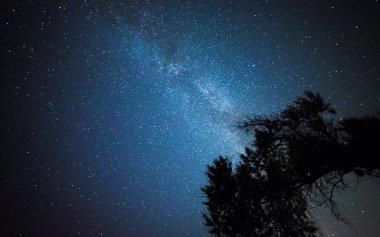 Ukrayna yıldızlarda