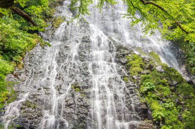 Güzel Ryusogadaki şelalesinin yaz manzarası, Fukui Bölgesi, Japonya.