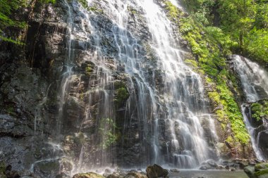 Güzel Ryusogadaki şelalesinin yaz manzarası, Fukui Bölgesi, Japonya.
