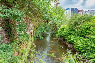 Manchester, İngiltere: Roger Street Köprüsü 'nden Irk Nehri. Irk Royton 'da yükselir ve şehir merkezindeki Irwell Nehri' ne katılmak için Chadderton, Middleton ve Blackley 'den geçer..