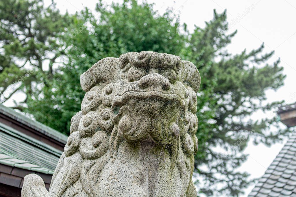 Komainu, or lion-dog, statue at saigawa jinja, Kanazawa, Japan. Komainu are the guardians of shinto shrines and sometimes temples, usually in pairs, one with open mouth, and one with closed.