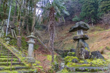 Taş fenerler ve tapınaktaki taş basamaklar, Fukui Bölgesi, Japonya.