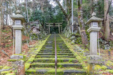 Taş fenerler ve tapınaktaki taş basamaklar, Fukui Bölgesi, Japonya.