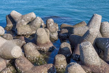 Beton tetrapodlardan, Onomachi 'den, Kanazawa' dan, Japonya 'dan yapılmış liman dalgakıranı.