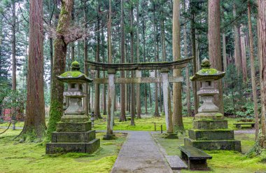 Hiyo Tapınağı, Bilgelik Ormanı, Komatsu, Ishikawa, Japonya.