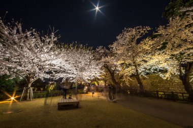 Geceleri Kanazawa Şatosu, Japonya, ziyaretçi hayaletleri uzun süre açık kalacak..