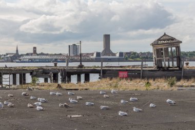 Liverpool 'daki terk edilmiş yapılar Birkenhead' in arka planında, 2015.