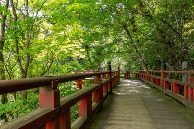 Yaz güneşinde ağaçların arasından geçen kırmızı tahta köprü Ishikawa, Japonya 'da bir tapınakta..