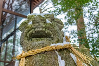 Komanu, ya da aslan-köpek, Japonya, Kanazawa 'daki Yamashina jinja tapınağında heykel. Komanu shinto türbelerinin koruyucularıdır ve bazen tapınaklar, genellikle çiftler halinde, biri açık ağızlı, biri de kapalı ağızlıdır..