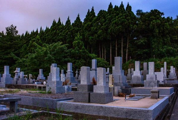Длительное Изображение Каменных Мемориалов Кладбище Кладбище Лесу Ночью Ясным Небом Лицензионные Стоковые Фото