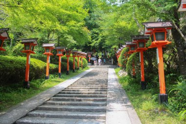 Kırmızı fenerlerin oluşturduğu sıra Japonya 'daki türbeye doğru bir adım attı..