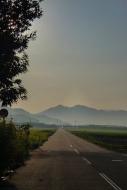 Yaz güneşinde, uzak dağlarla pirinç tarlalarından geçen yol. Fukui, Japonya.