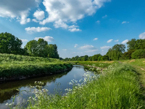 Yazın Mersey Nehri manzarası, Chorlton Su Parkı, Manchester, İngiltere.