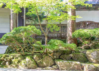 Yazın yosunlu taş duvar ve ağaçlar. Eiheiji, Japonya.