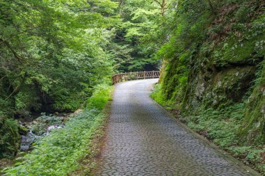 Ryusogadaki Şelalesi, Fukui Bölgesi, Japonya 'ya giden uzak köy yolunun yaz manzarası.