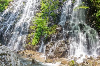 Güzel Ryusogadaki şelalesinin yaz manzarası, Fukui Bölgesi, Japonya.