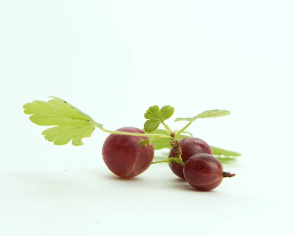 Primer Plano Tres Bayas Grosella Roja Maduras Con Hojas Grosella — Foto de Stock