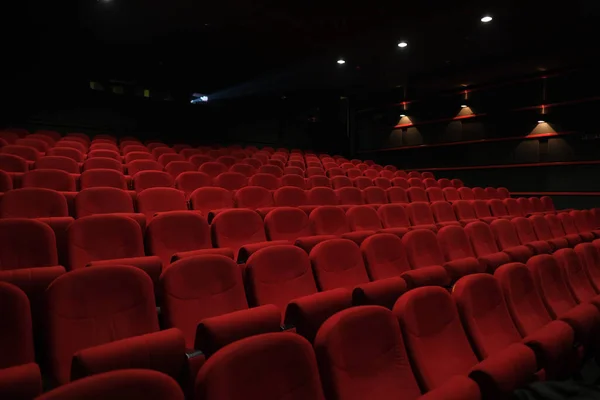 Empty cinema hall with red seats. Movie theater. Cinema seats in red color background.