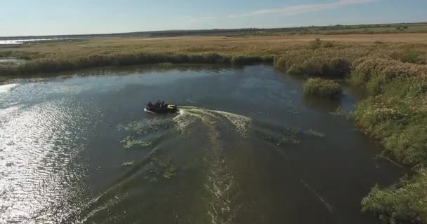 Légi Felvétel Motorcsónak Gyorsan Lebeg Őszi Folyó Mentén Száraz Nád — Stock videók