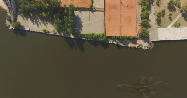 濁った水の中の空中ビュー ドラゴン 先史時代のモンスターは テニスコートと川の銀行に沿って水中に浮かぶ モンスター — ストック動画