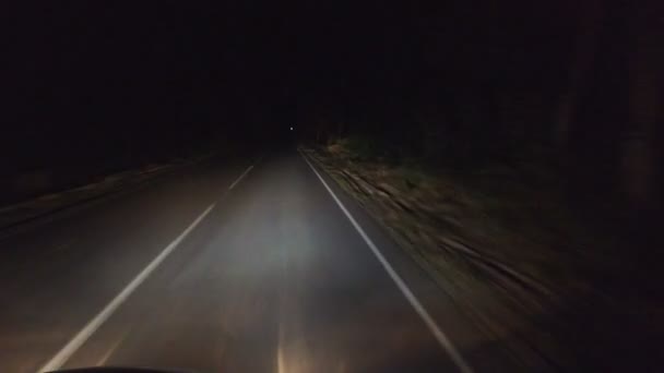 森林内の木々のトンネルを介して夜の道路 高速道路 車のヘッドライトの光 および光の反射 道路に沿って太字や標識 中央ヨーロッパ — ストック動画