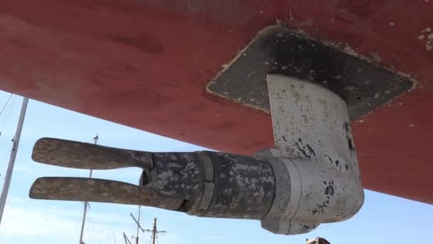 Hélice Pétalos Cubierta Concha Marina Yate Reparación Puerto Levantada Muelle — Vídeo de stock