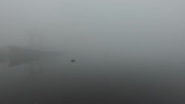 Hava elementi görüş mesafesi. Nehirde yoğun sis var. İskelede büyük bir gemi ve çim yolunda bir şamandıra görebilirsiniz.